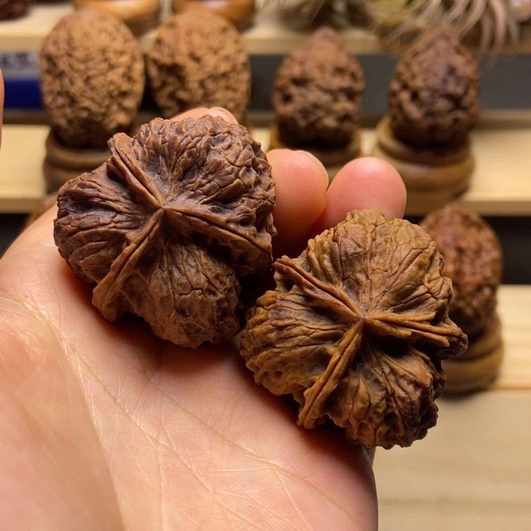 文玩核桃把件木芙蓉三棱