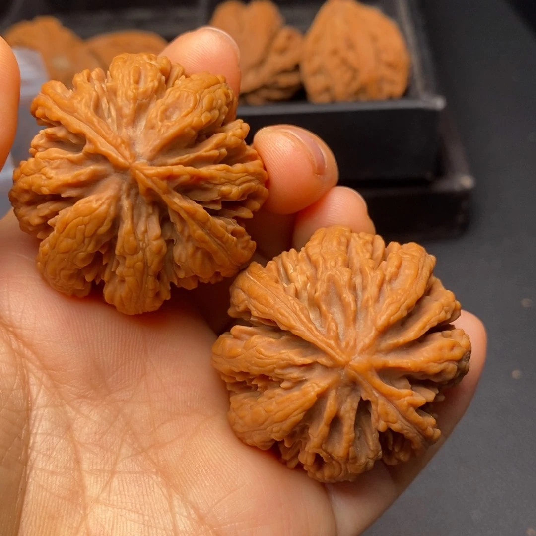 文玩核桃把件秦岭野生核桃