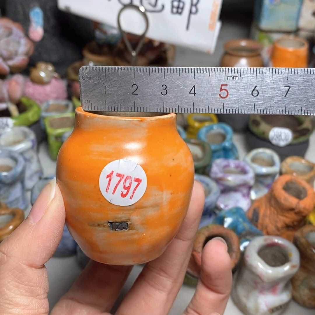 拍5送一个小礼物