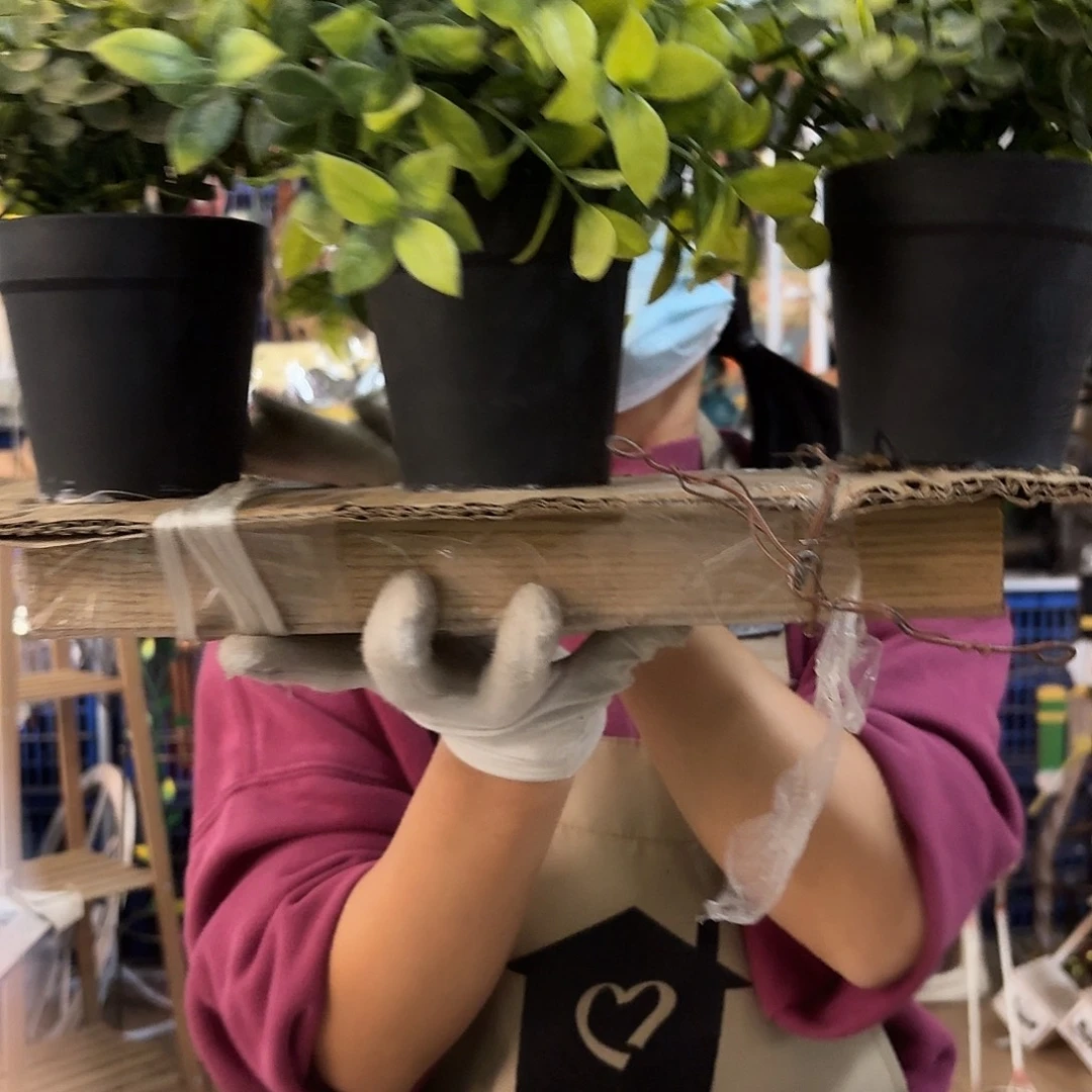 核桃木/黑胡桃（胡桃木）