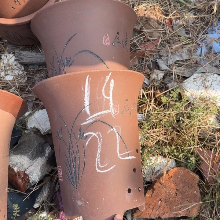 花盆紫砂紫砂的花