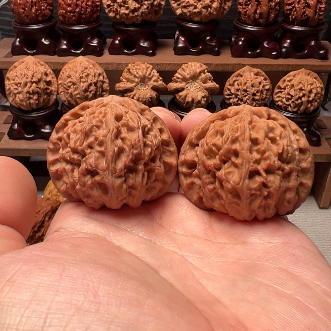 把件文玩核桃44白狮子