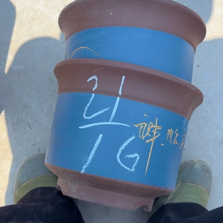 紫砂花盆紫砂的花