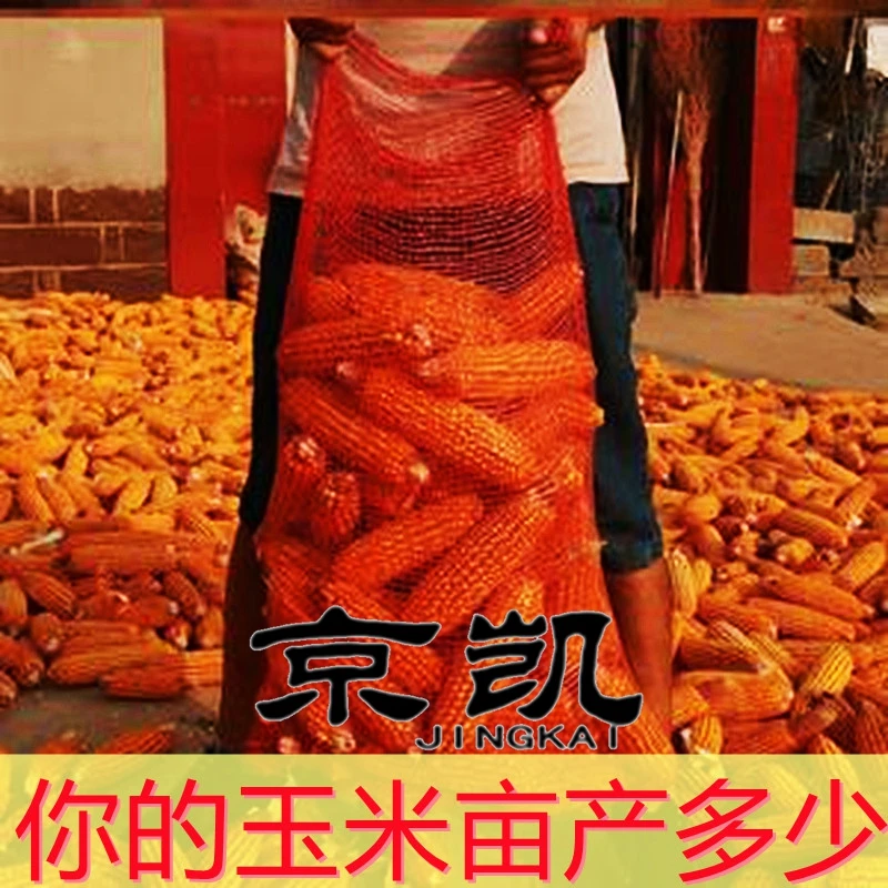 京凯加密加厚网眼袋批发装玉米土豆苹果洋葱柚子专用网袋厂直销