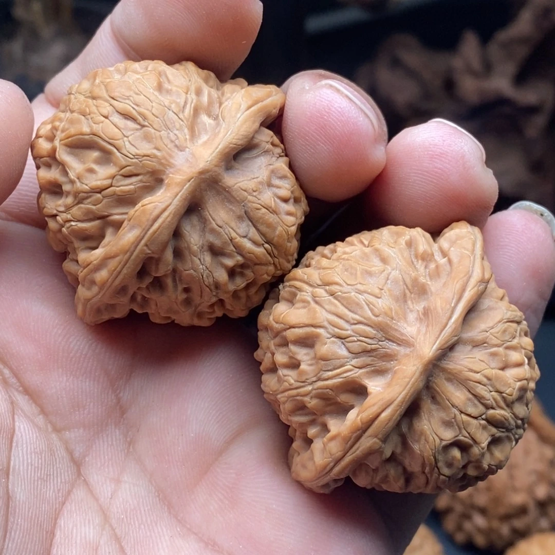 核桃宫灯……………………