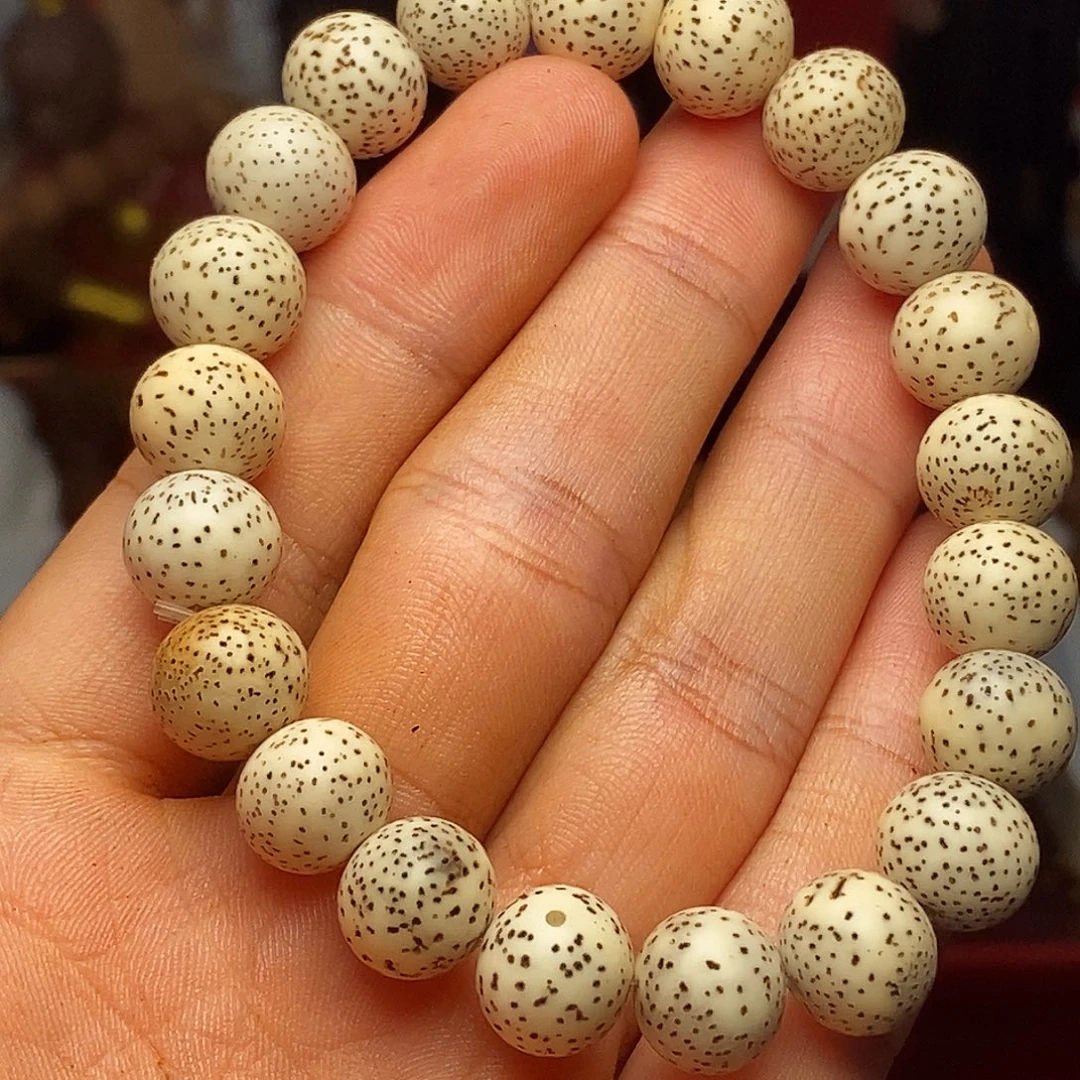 橄榄核手串/手链vbbjjjjnnnbbnnm