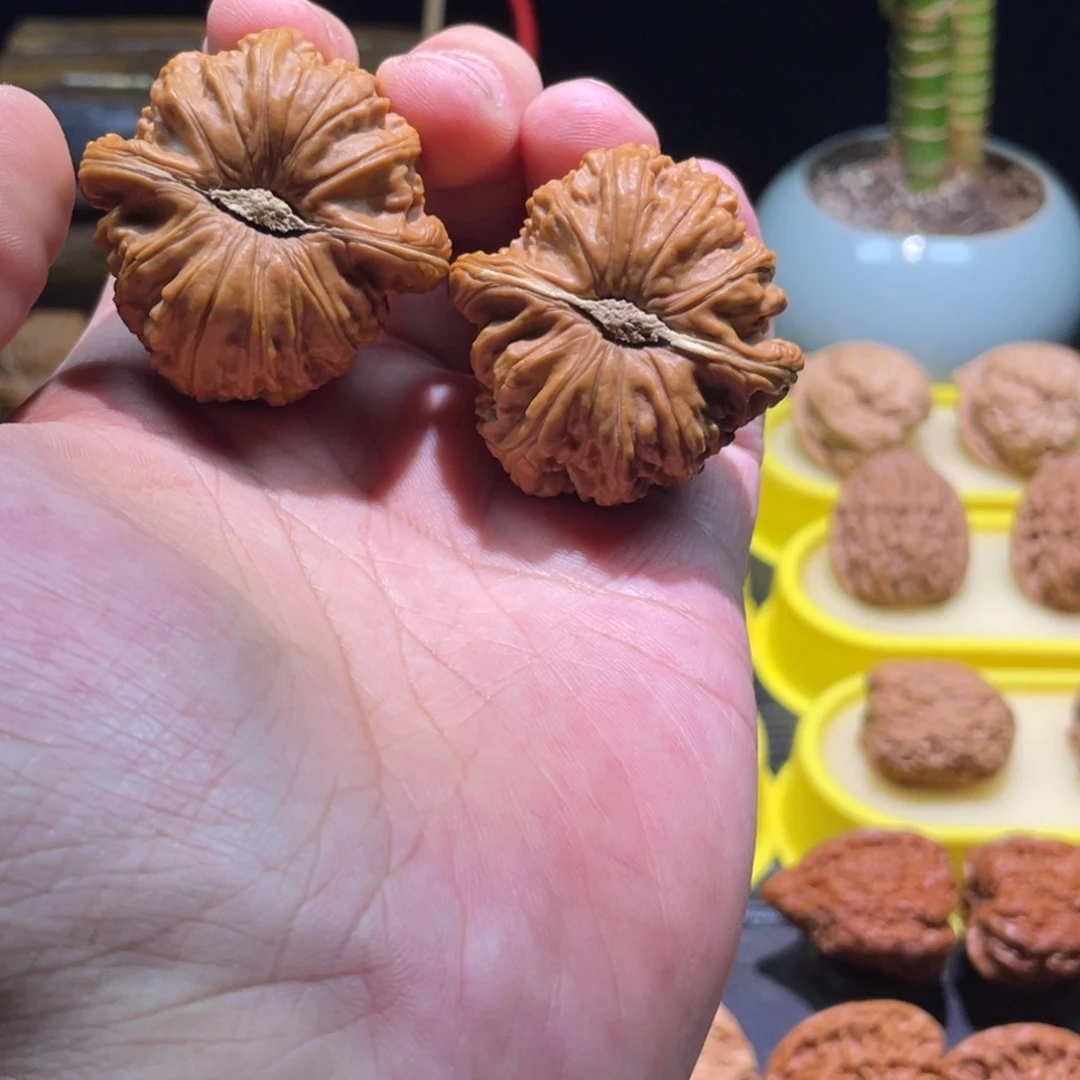 把件文玩核桃41全品卡姿兰大眼睛正肚白狮子