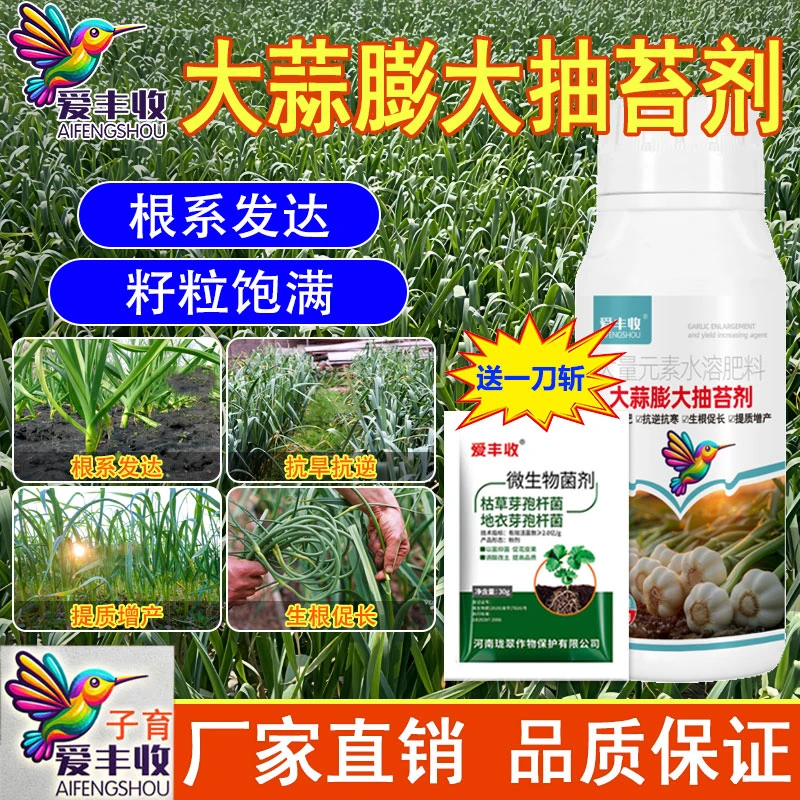 爱丰收大蒜膨大抽苔剂大蒜抽苔叶面肥防蒜头膨大剂大蒜叶面肥