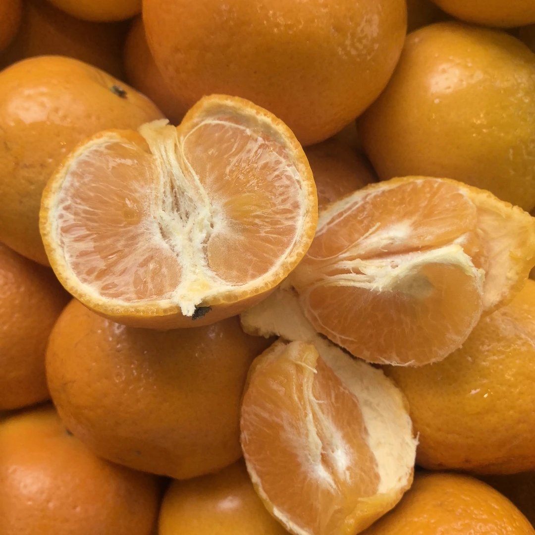 沃柑27.8元5斤装（橙）