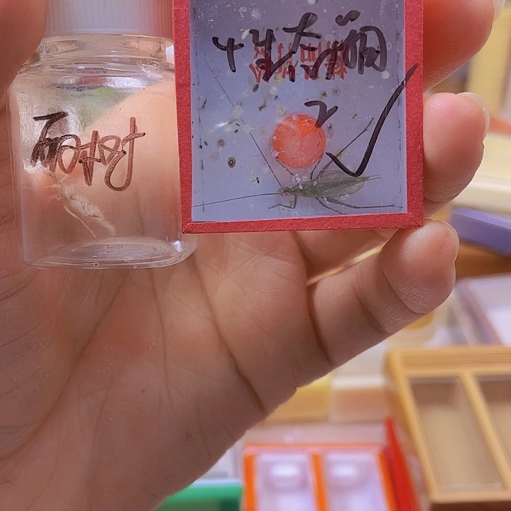 海***洋生态箱2+丽树1+天水1