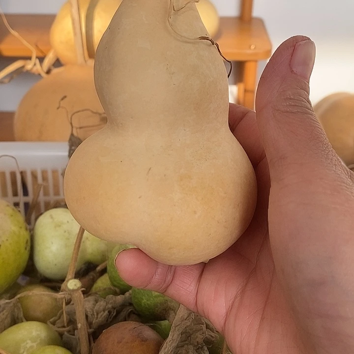 @***瓜双胎葫芦手把件葫芦