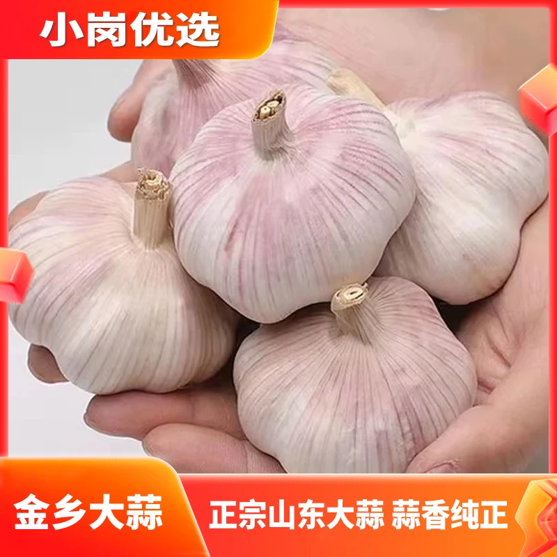 山东金乡大蒜头2/3/5斤干蒜特大蒜批发鲜大蒜正宗2025干蒜新干蒜