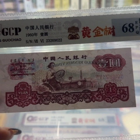 *****三版一元黄金树一张3113