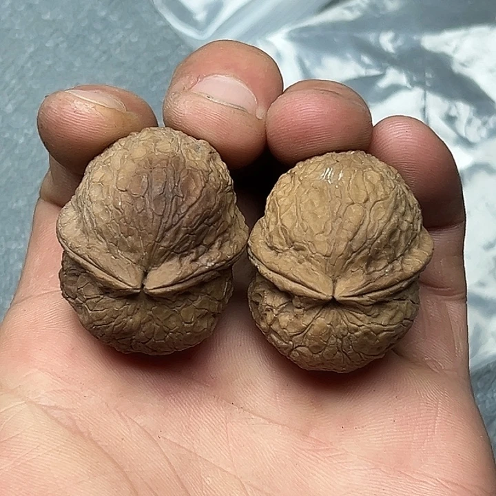 把件文玩核桃18号蟒纹圆球