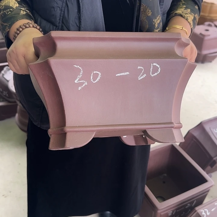 是一个充满生机盎然