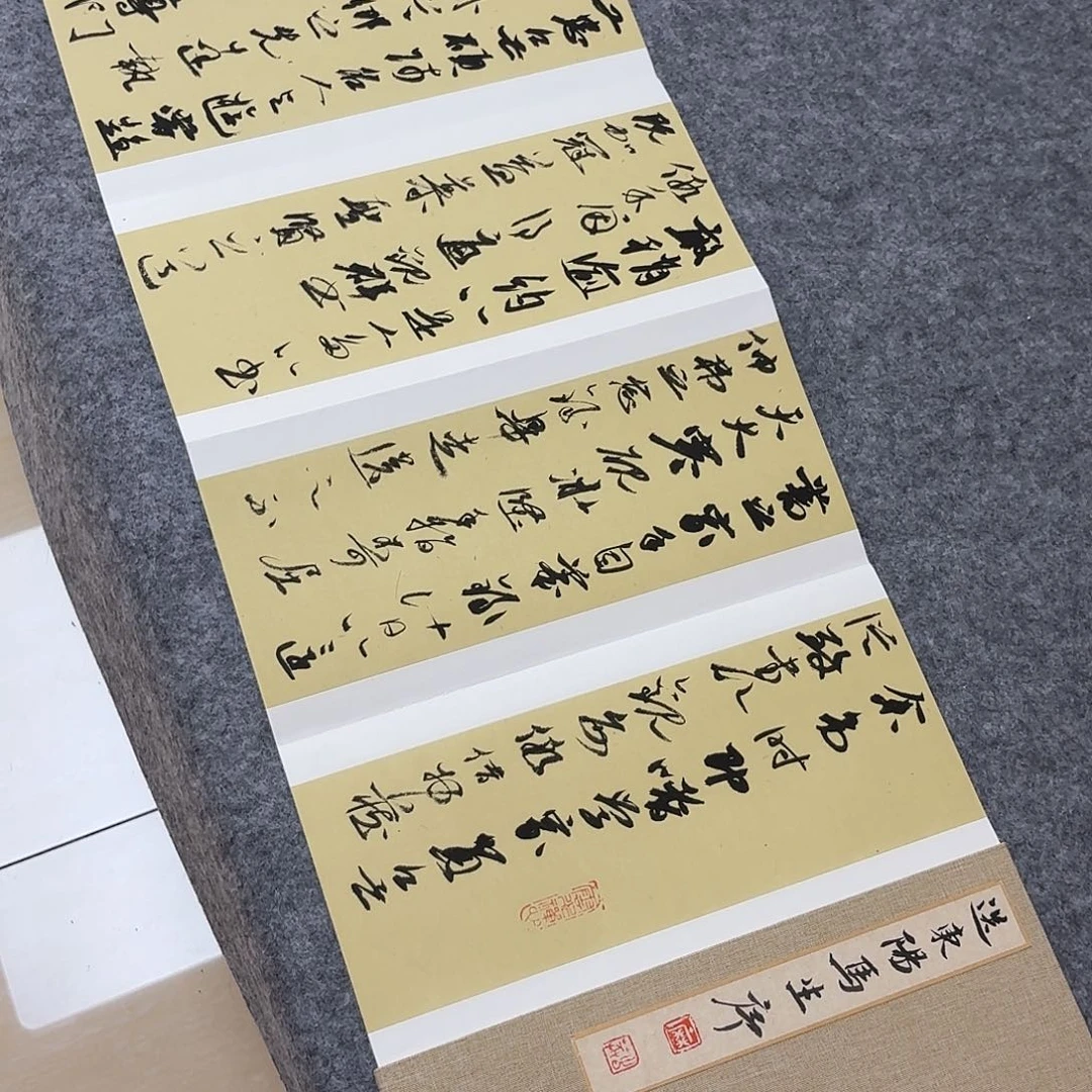 书法国展书家麻春芳330+34