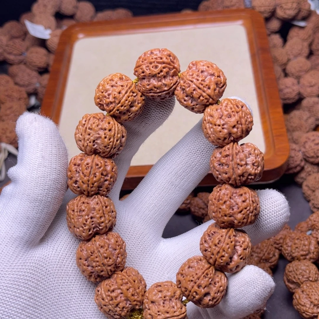 ****意金刚菩提手串五瓣，23尺五爪金龙