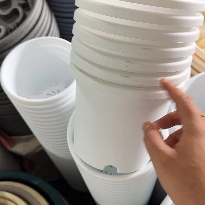 微瑕2#白色12个无托