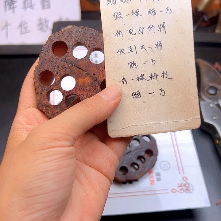 藤类缅甸降真香藕片克路路通1片发其一2.88