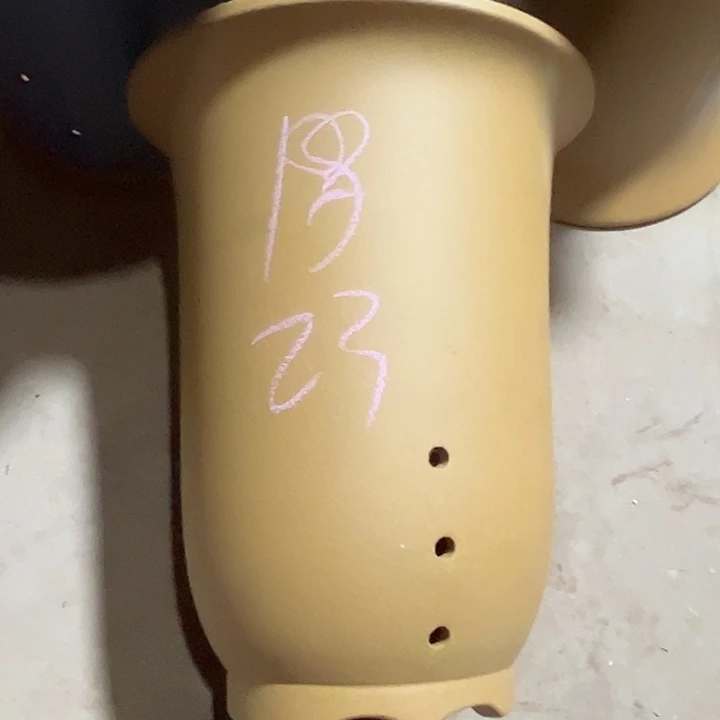 紫砂花盆紫砂兰花盆这家质量不错