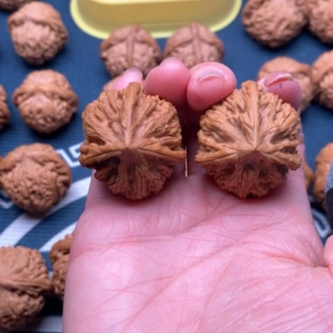 我***追文山三棱36御龙粗筋