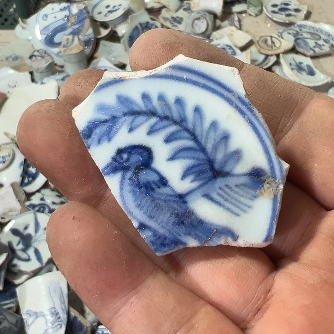 墨***浓瓷片瓷片标本，全场包邮