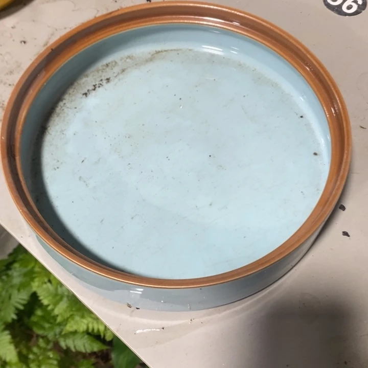 ?****?退款拉黑一物一74