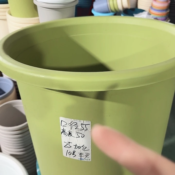 四季12号果绿无托2个