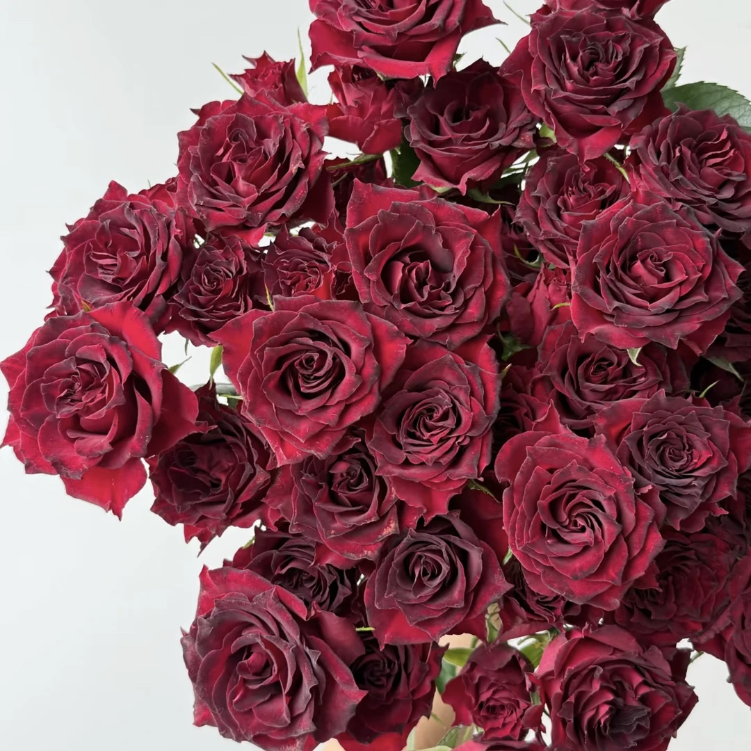 万花筒-多头玫瑰（任意两单包邮，一单需要补运费）