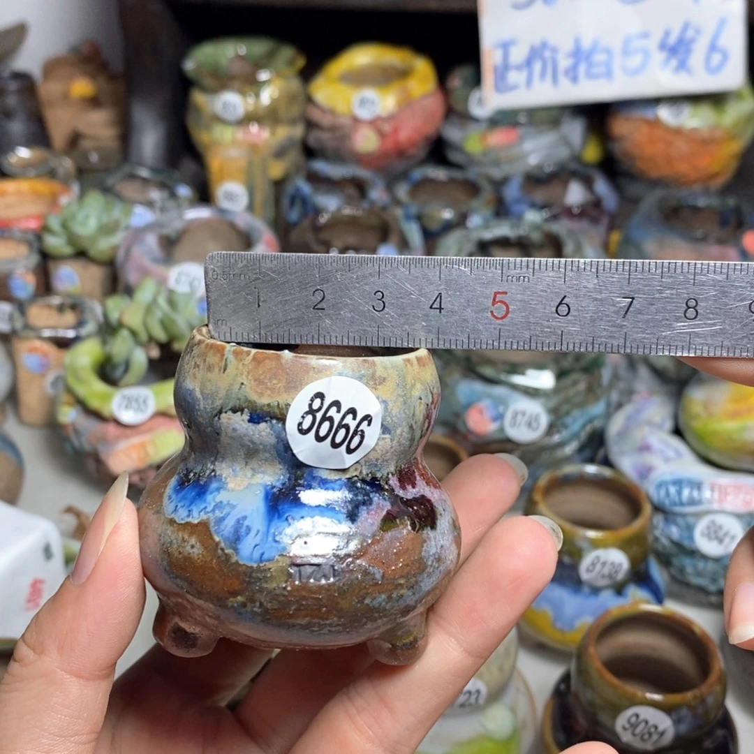 拍5送一个小礼物