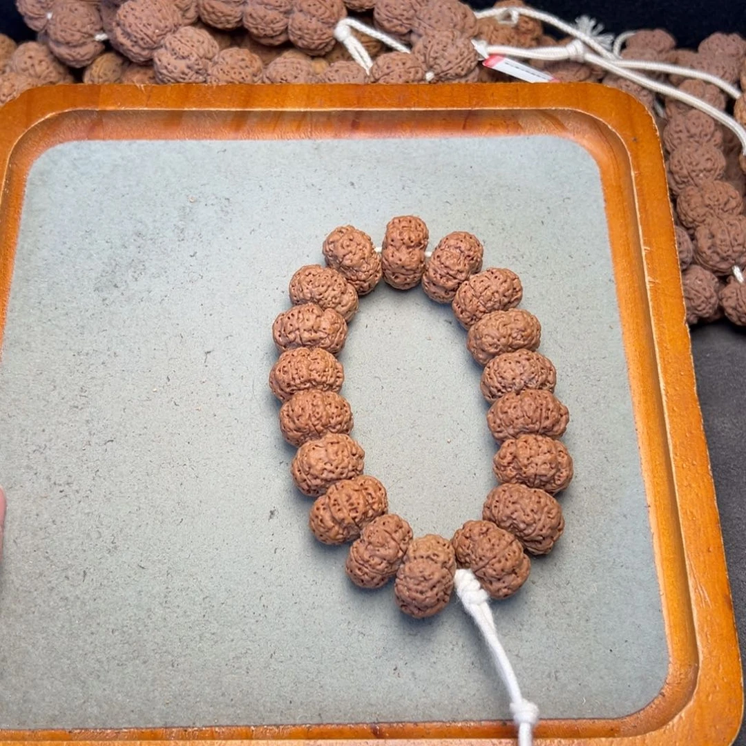 菩提45号金刚菩提蜂王夹板20