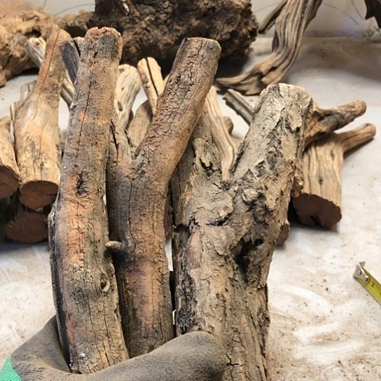 大果紫檀（缅甸花梨）曾***诺