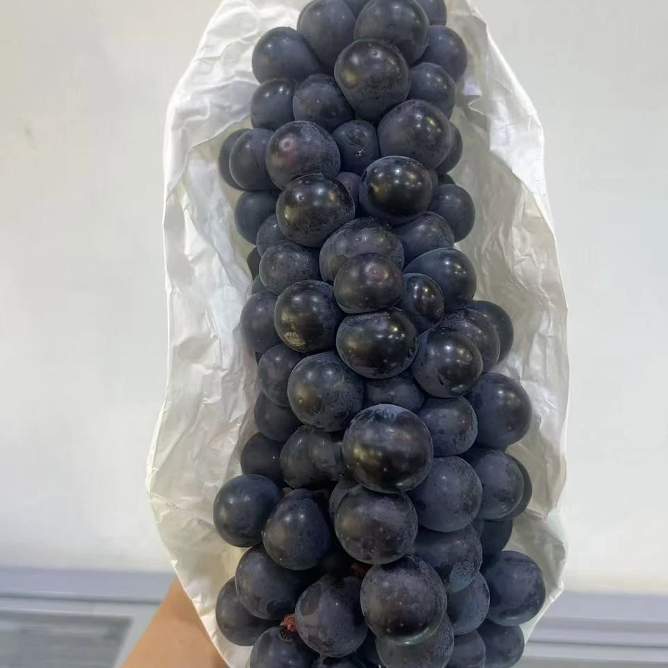 蓝莓葡萄约500g 云南省