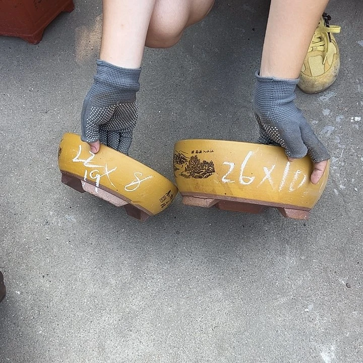 黄色江山如画中小一对