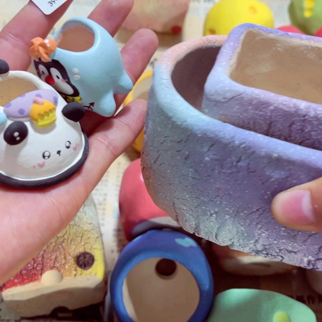 霓***活394号带盆包邮发货