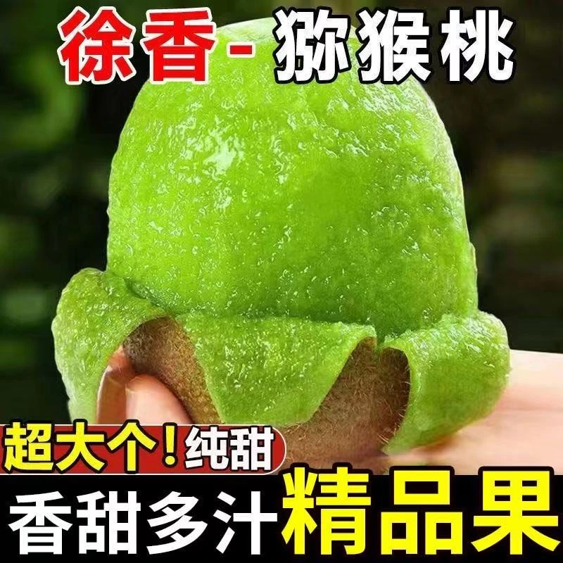 陕西徐香猕猴桃新鲜当季水果香甜多汁维C丰富