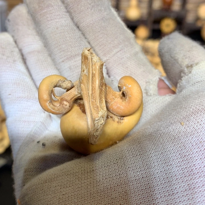 八宝鱼也很不错啊笑的很可爱哈