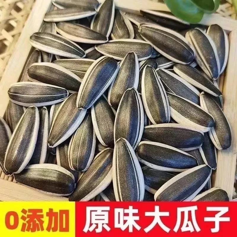 【原味葵花籽熟瓜子】葵花籽香瓜子原味大包装熟瓜子散装毛嗑颗粒