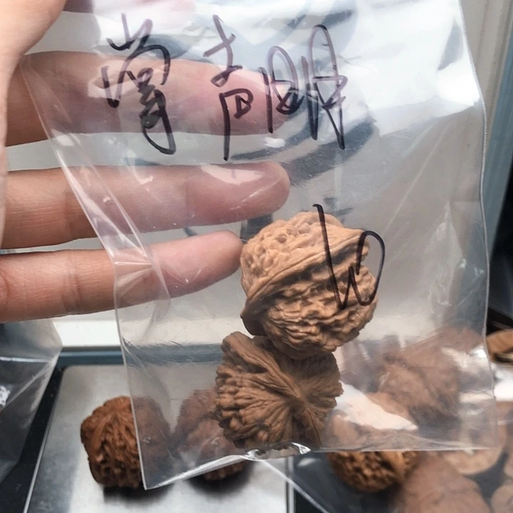 桃核吊坠掌****。76767667766767