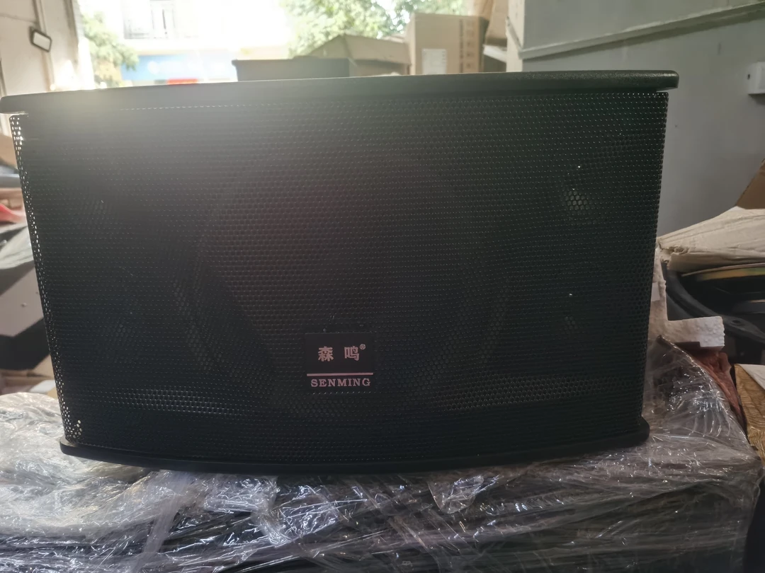 准新品  10寸卡包，4高音，一对