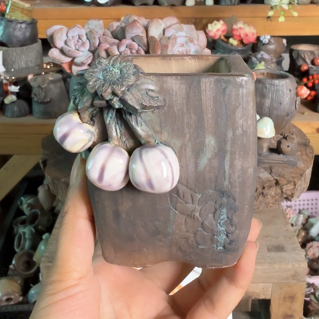 重庆小燕子欢迎大家