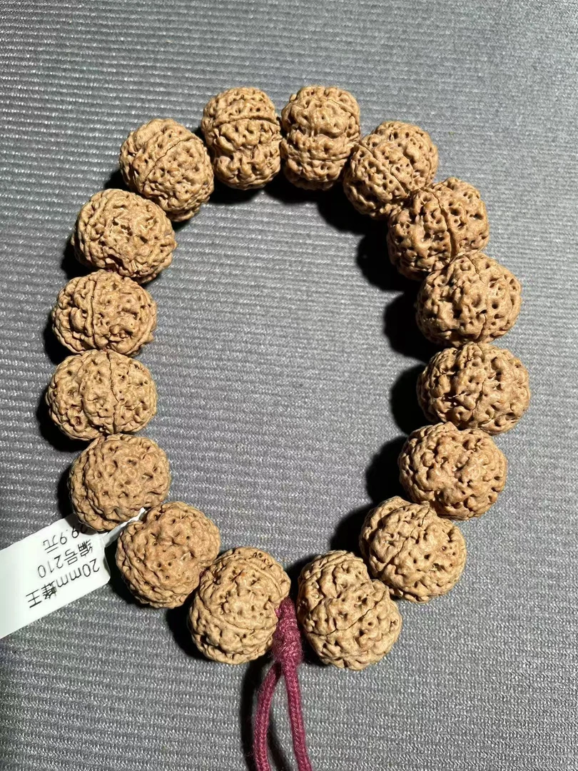 20mm蜂王编号210 尼泊尔大金刚