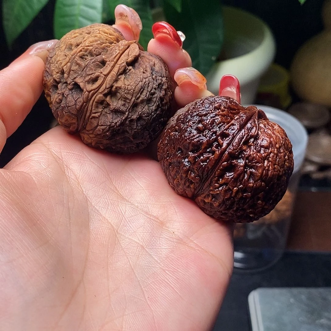 文玩核桃把件@*淡元宝