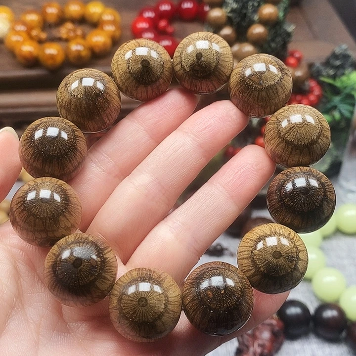 老***哥其他藤类买麻藤2.0