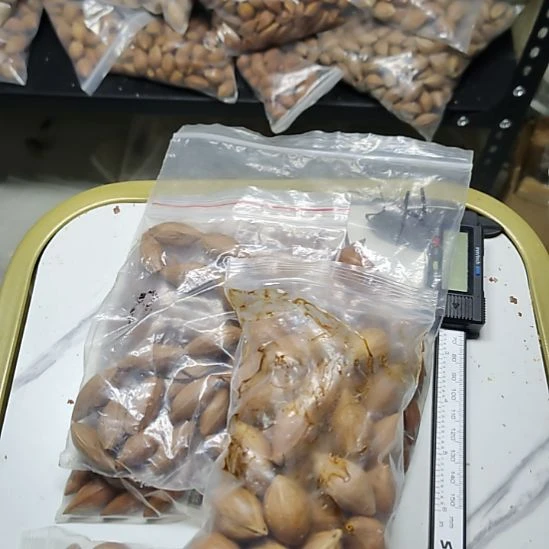 极***士吊坠橄榄核散籽一包
