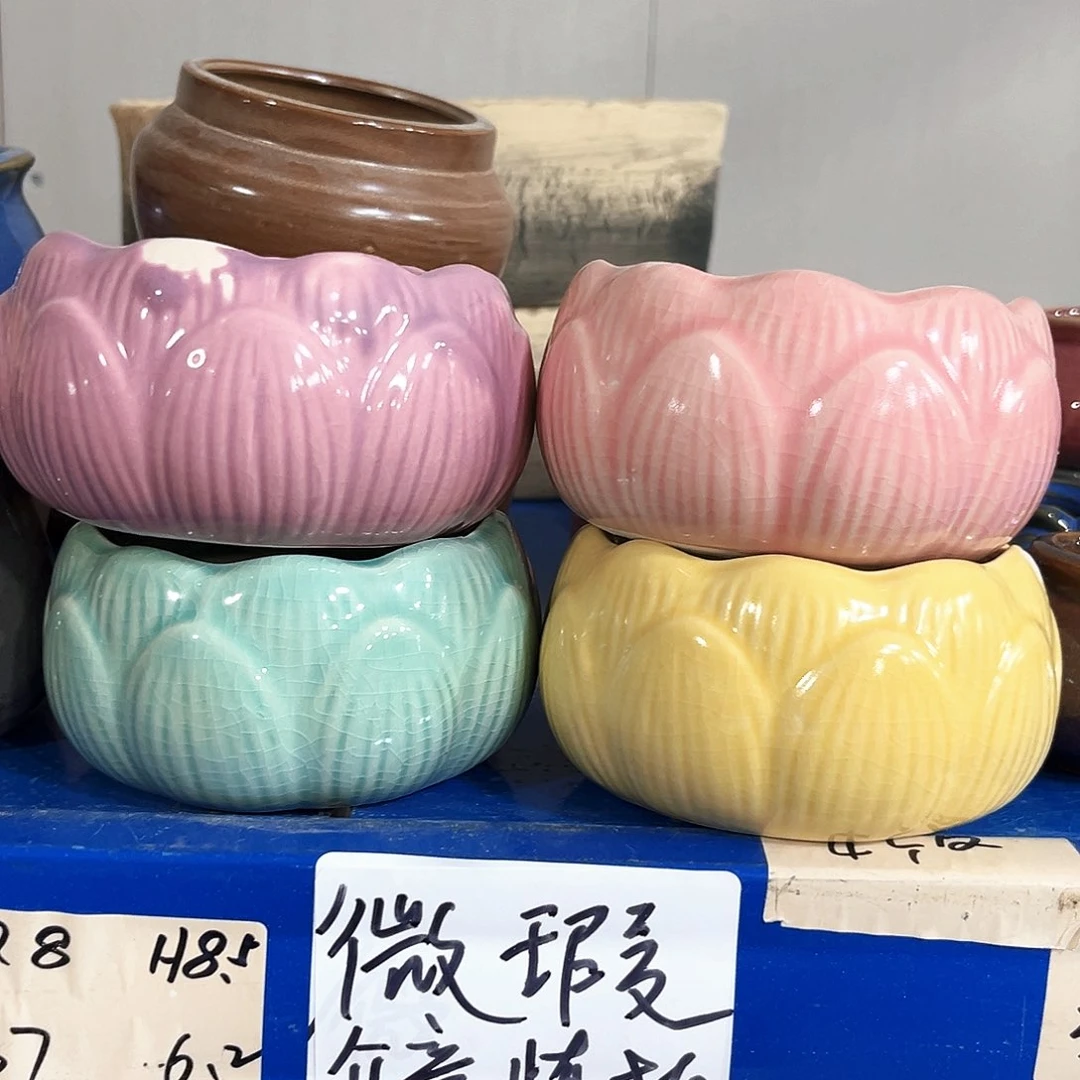 花盆花盆花盆花盆花盆花盆花盆花盆