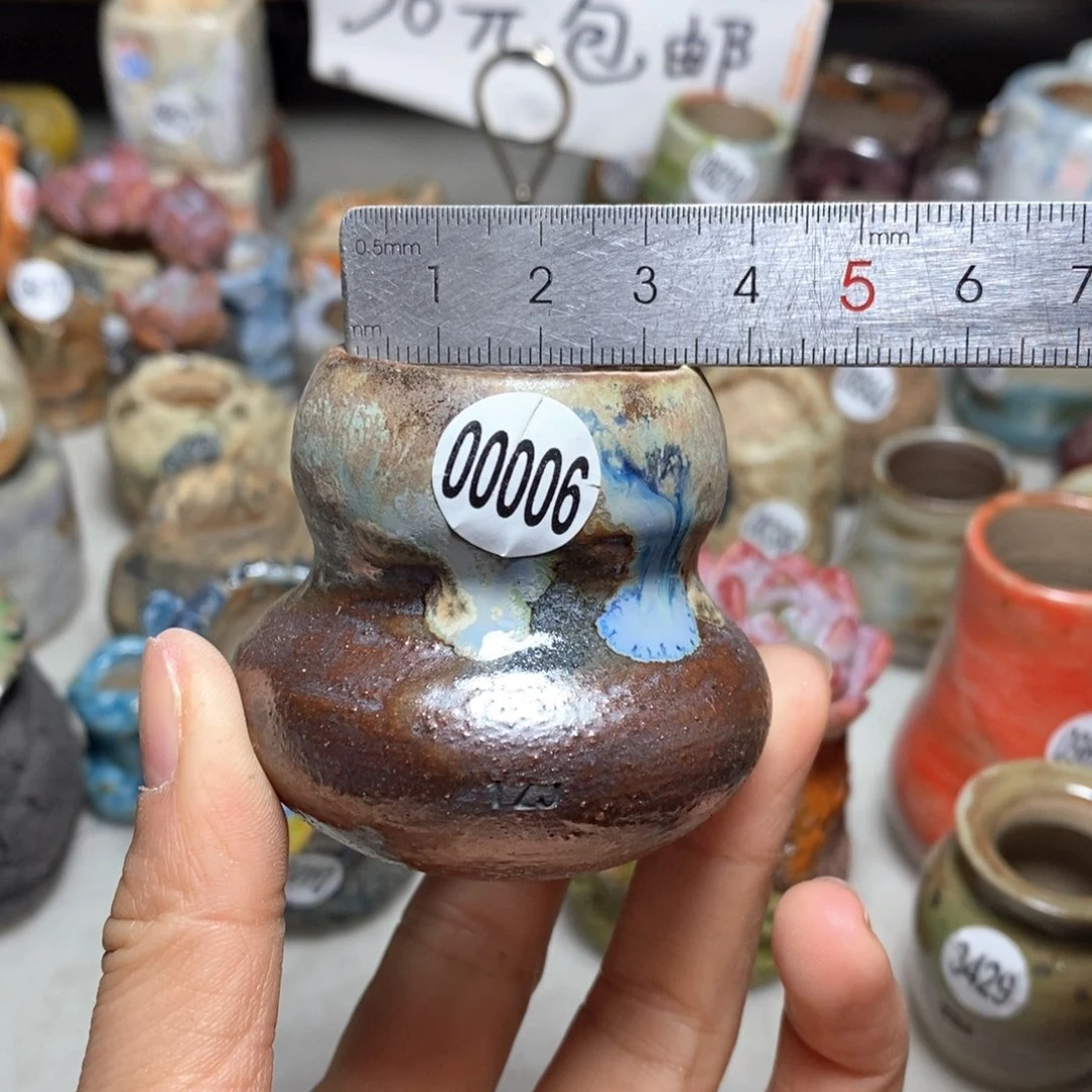 花盆拍5送一个小礼物