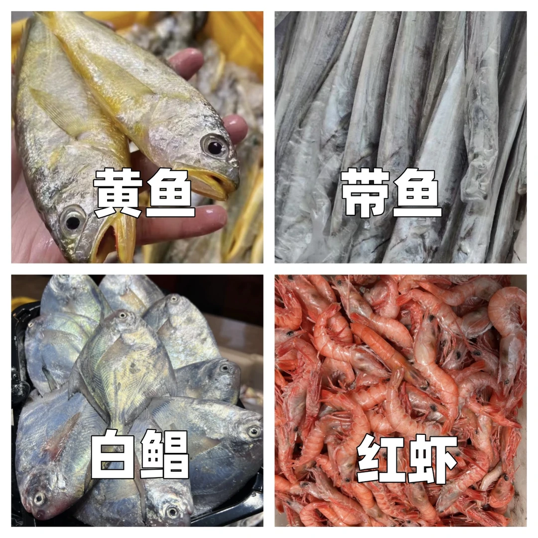 【石浦渔夫】黄鱼+带鱼+鲳鱼+台湾红海鲜组合