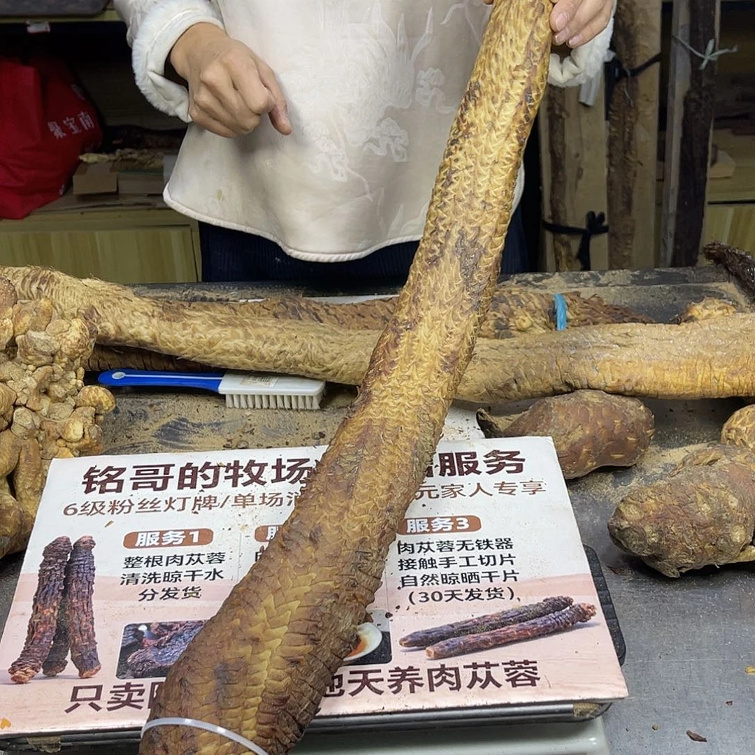 中国大陆81厘米4.3斤