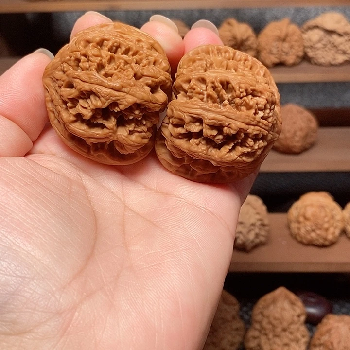 全品无修大粗筋46尺